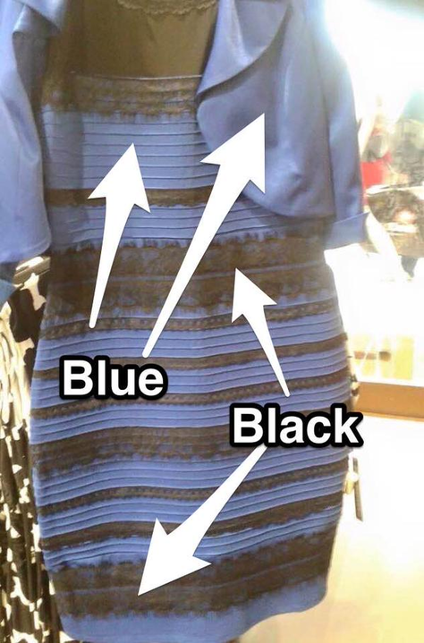 Where to buy the dress that broke the Internet | finder.com.au
